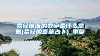 易经前面的数字是什么意思(易经的蓍草占卜)_重复