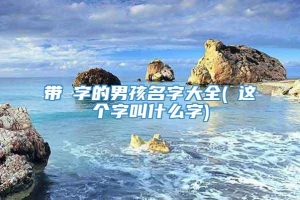 带燊字的男孩名字大全(燊这个字叫什么字)