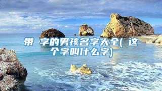带燊字的男孩名字大全(燊这个字叫什么字)