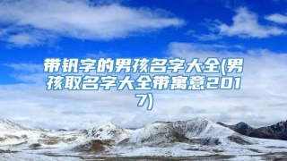 带钒字的男孩名字大全(男孩取名字大全带寓意2017)