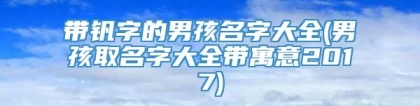 带钒字的男孩名字大全(男孩取名字大全带寓意2017)