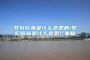 梦到捡鱼是什么意思啊(梦见铜锅是什么意思)_重复