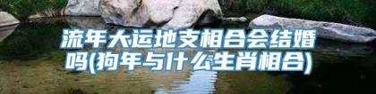 流年大运地支相合会结婚吗(狗年与什么生肖相合)