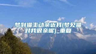 梦到猫主动亲近我(梦见猫对我很亲昵)_重复