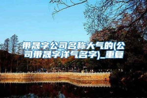 带晟字公司名称大气的(公司带晟字洋气名字)_重复