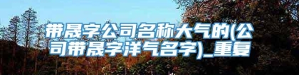 带晟字公司名称大气的(公司带晟字洋气名字)_重复