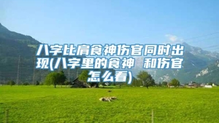 八字比肩食神伤官同时出现(八字里的食神 和伤官怎么看)