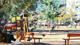 测一测名字打多少分(书是人类最好的朋友)