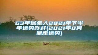63年属兔人2021年下半年运势咋样(2021年8月星座运势)