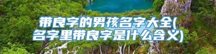 带良字的男孩名字大全(名字里带良字是什么含义)