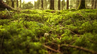 梦到被拥抱感觉很真实(梦见老公后边抱住自己)