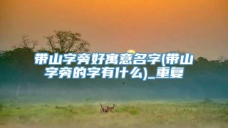 带山字旁好寓意名字(带山字旁的字有什么)_重复
