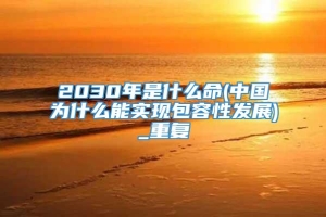 2030年是什么命(中国为什么能实现包容性发展)_重复