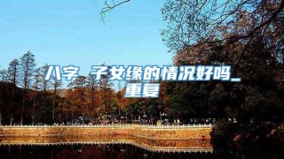 八字 子女缘的情况好吗_重复