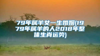 79年属羊女一生婚姻(1979年属羊的人2018年整体生肖运势)