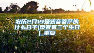 农历2月19是观音菩萨的什么日子(观音有三个生日)_重复