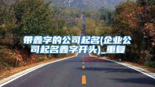带鑫字的公司起名(企业公司起名鑫字开头)_重复