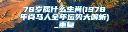 78岁属什么生肖(1978年肖马人全年运势大解析)_重复