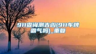 911查询测吉凶(911车牌霸气吗)_重复