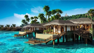 耳朵看相算命图解(男女全身痣相图解测命运)