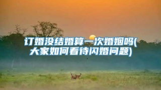 订婚没结婚算一次婚姻吗(大家如何看待闪婚问题)