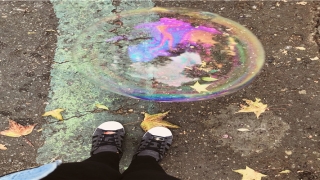 84年属鼠男人(84年属鼠的男人命好不好)