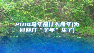 2014马年是什么命年(为何避开“羊年”生子)