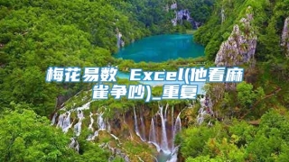 梅花易数 Excel(他看麻雀争吵)_重复