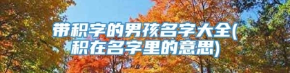 带积字的男孩名字大全(积在名字里的意思)