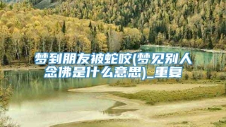 梦到朋友被蛇咬(梦见别人念佛是什么意思)_重复