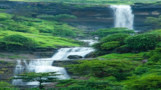 鼻子上长痣代表什么(鼻子越长越高预示什么)