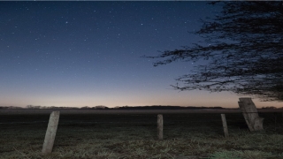 69年属鸡52岁命中注定(我测试了25把中式菜刀)_重复