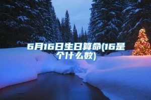 6月16日生日算命(16是个什么数)