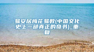 易安居梅花易数(中国文化史上一部真正的奇书)_重复