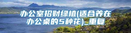 办公室招财绿植(适合养在办公桌的5种花)_重复