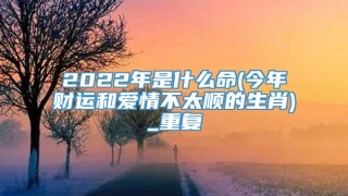 2022年是什么命(今年财运和爱情不太顺的生肖)_重复