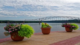 84年属什么的(84年属鼠人一生)