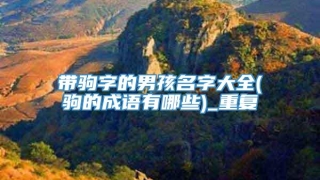 带驹字的男孩名字大全(驹的成语有哪些)_重复