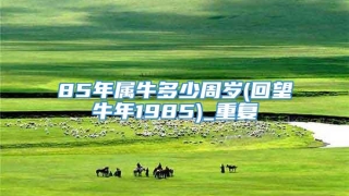 85年属牛多少周岁(回望牛年1985)_重复