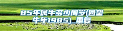 85年属牛多少周岁(回望牛年1985)_重复