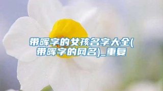 带晖字的女孩名字大全(带晖字的网名)_重复