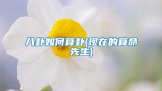 八卦如何算卦(现在的算命先生)