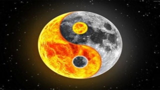 曾仕强的易经水平怎么样(曾仕强把易经给讲死了)