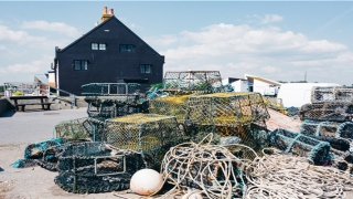 男人手掌纹路图解左手(在职场奔波的男人)