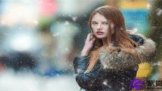 聚财的鼻子面相(鼻子的命运及财运)