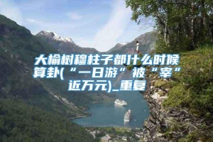 大榆树穆柱子都什么时候算卦(“一日游”被“宰”近万元)_重复