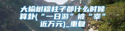 大榆树穆柱子都什么时候算卦(“一日游”被“宰”近万元)_重复