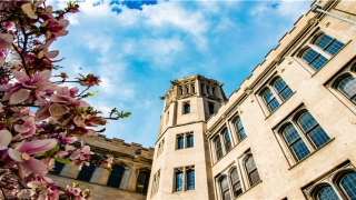 经常梦见掉牙(周公解梦,掉牙)