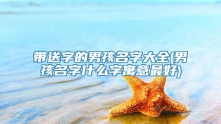 带送字的男孩名字大全(男孩名字什么字寓意最好)