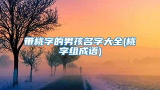 带桃字的男孩名字大全(桃字组成语)